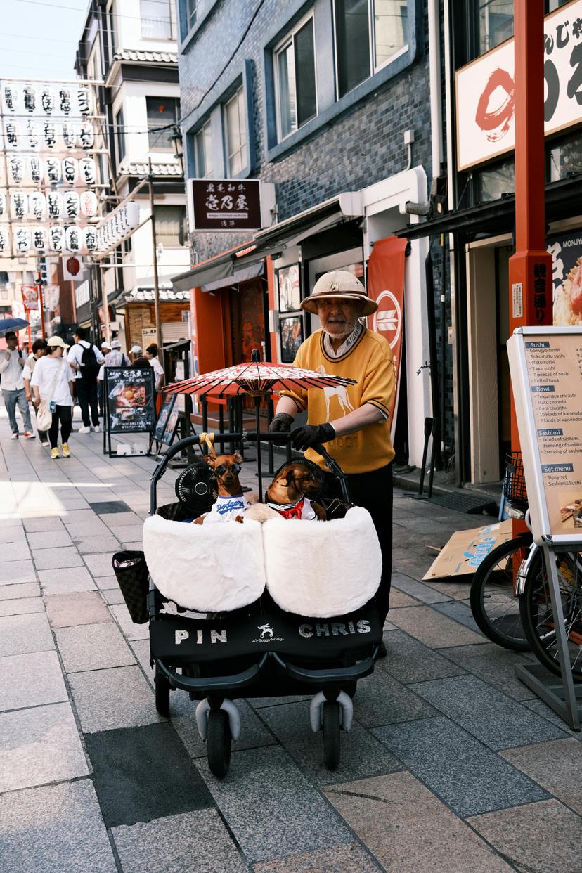pexels-huuhuynh-22882164.jpg